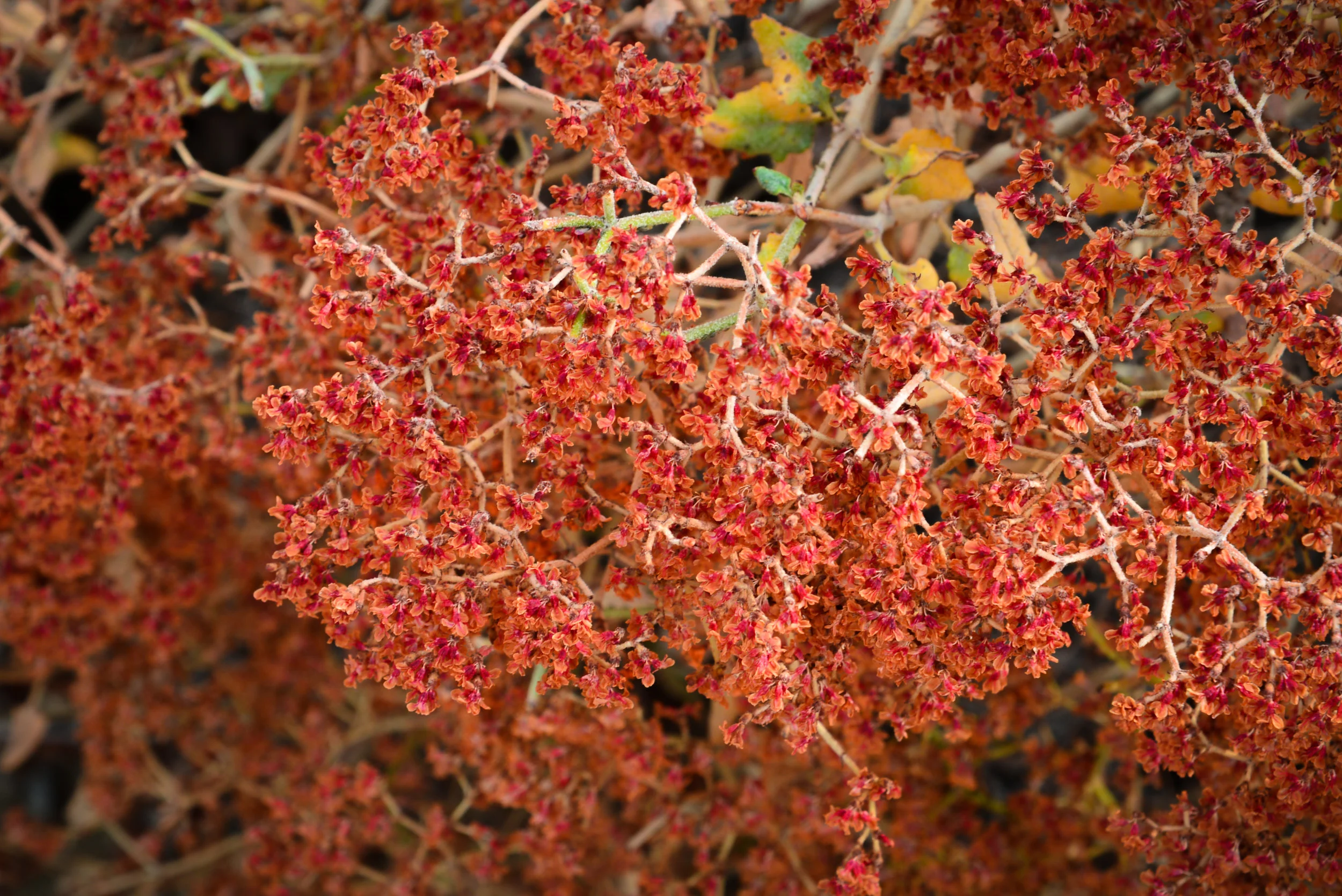 untitled-220.jpg