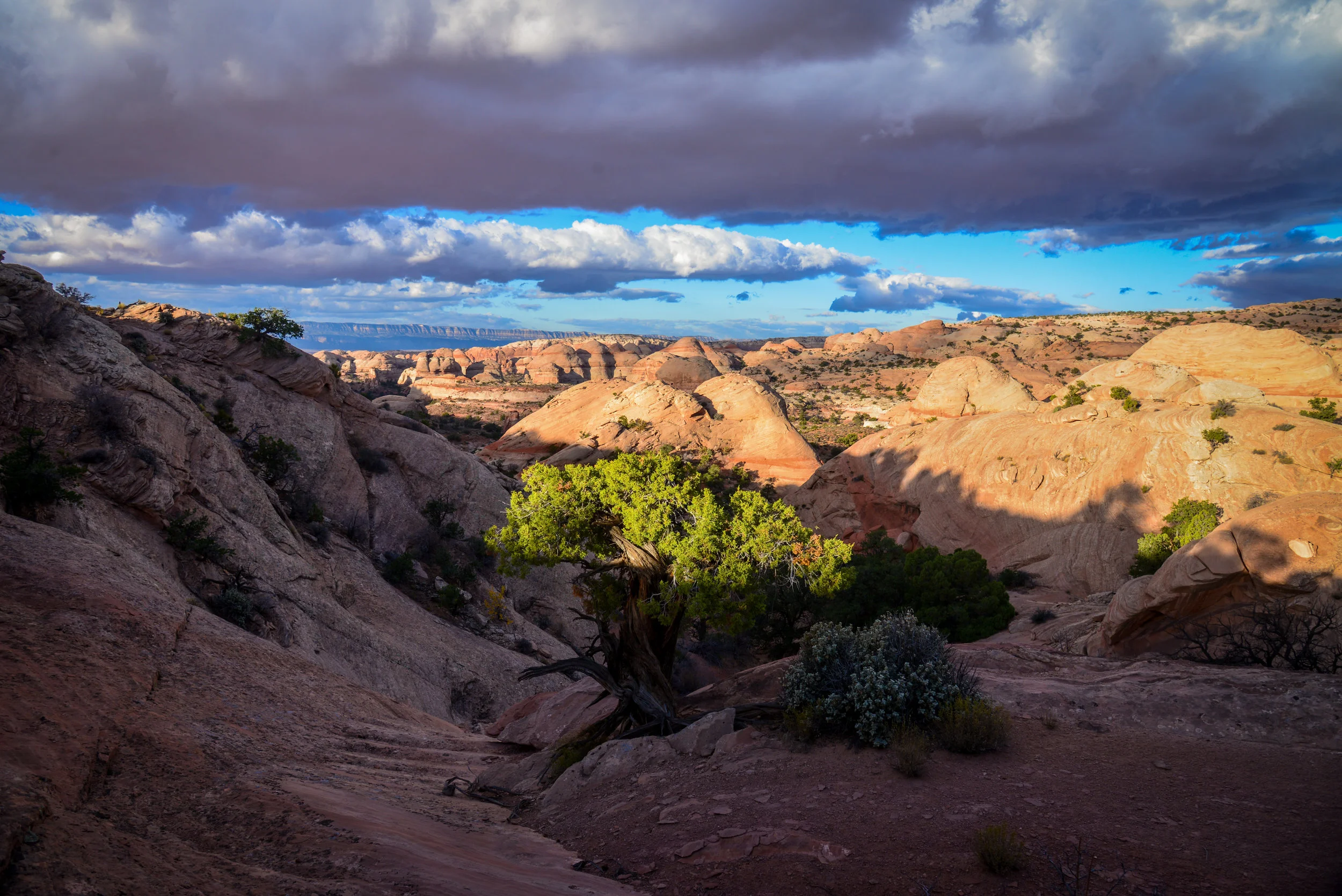 untitled-321.jpg