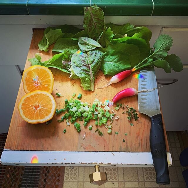 Backyard lunch... I&rsquo;m dreaming of the day when we have an olive grove to press oil and we dry our own sea salt, but for now, it&rsquo;s all about the urban practice. #gardentotable #homeproduce #paintchips