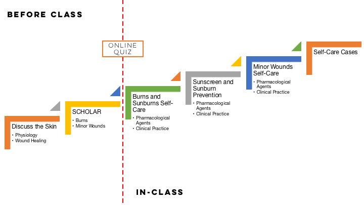 Example roadmap in a lecture about burn and wound care for pharmacy students.