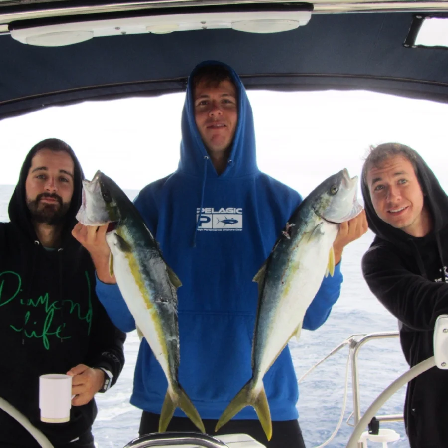 Two Beautiful Yellowtail speared 12 Miles Offshore San Diego