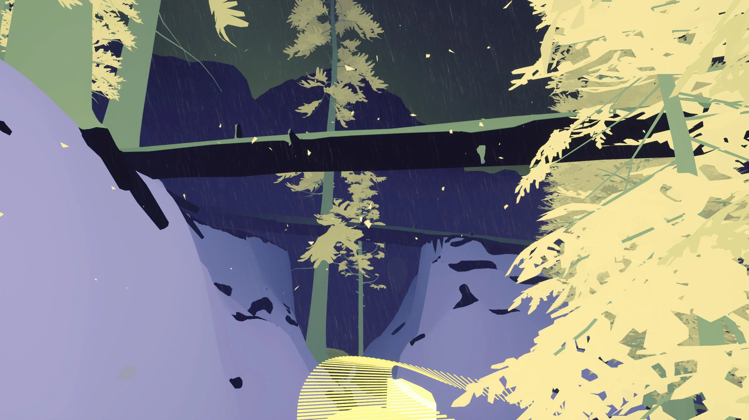 Rainforest_02.jpg