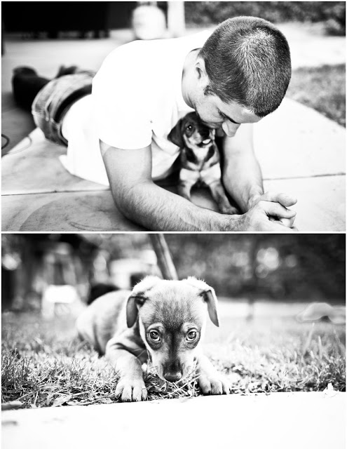 FosterPuppy+%252839+of+40%2529.jpg