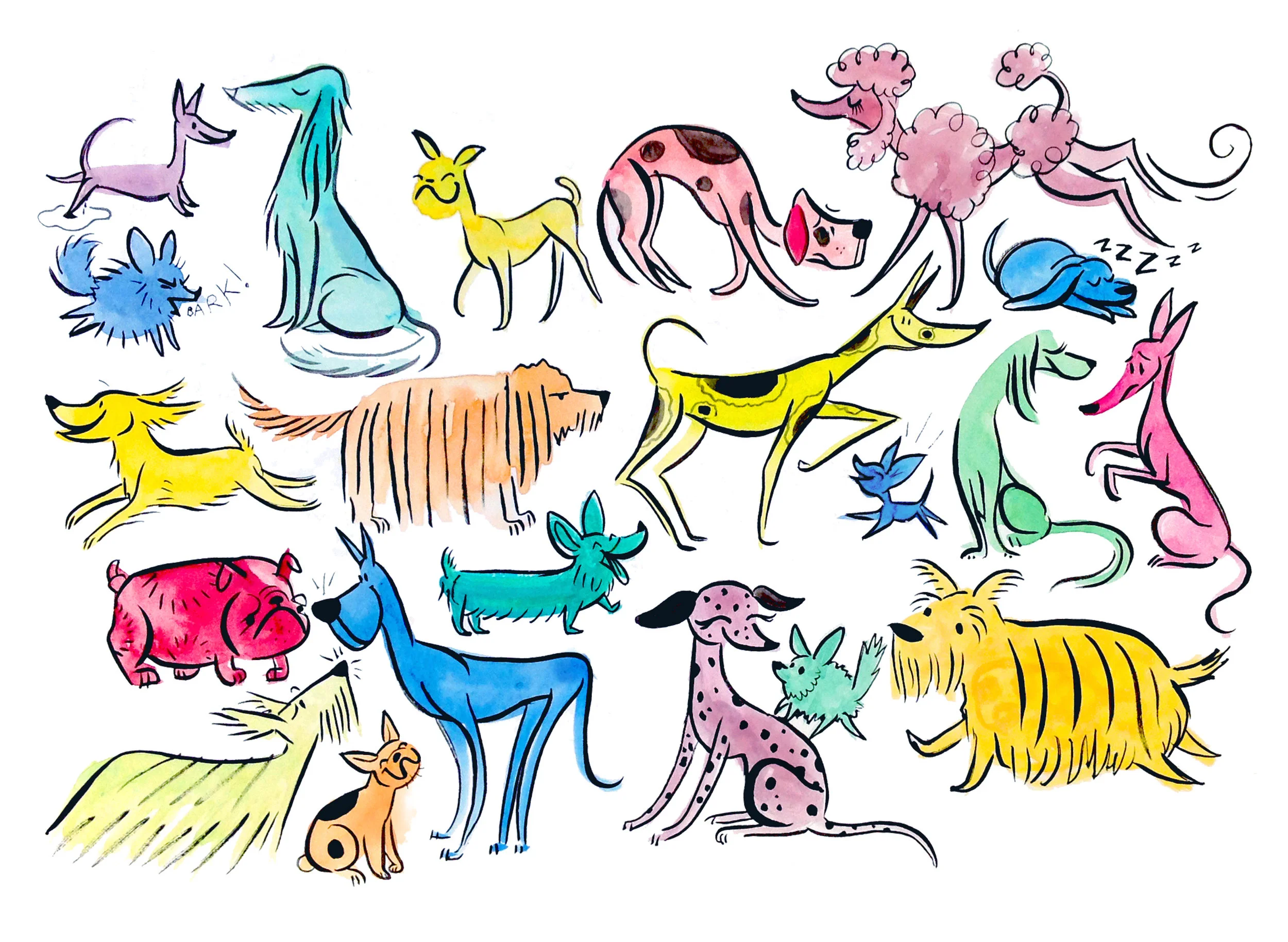 Rainbow_Dogs_8x10.jpg