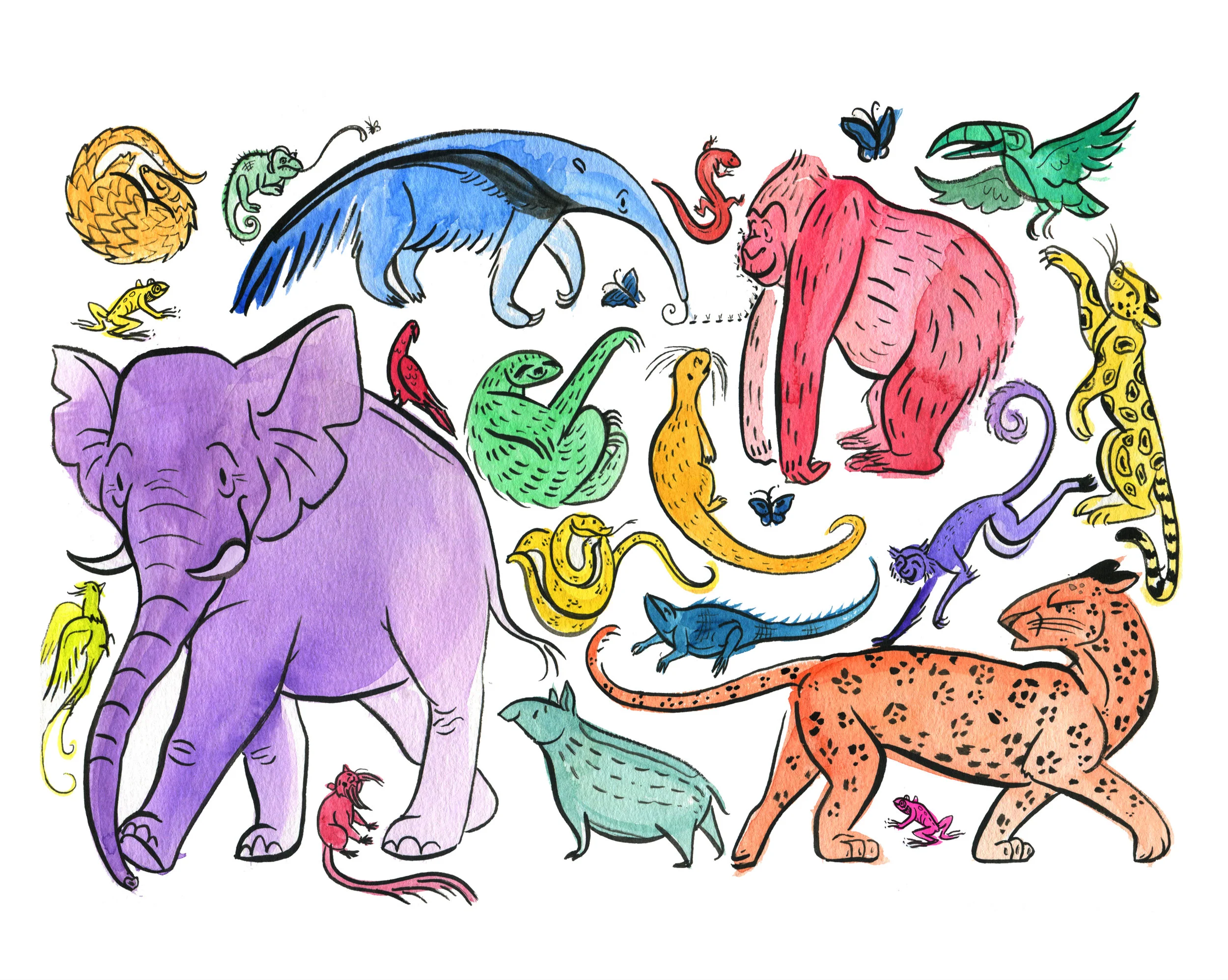 Rainbow_jungle_8x10.jpg