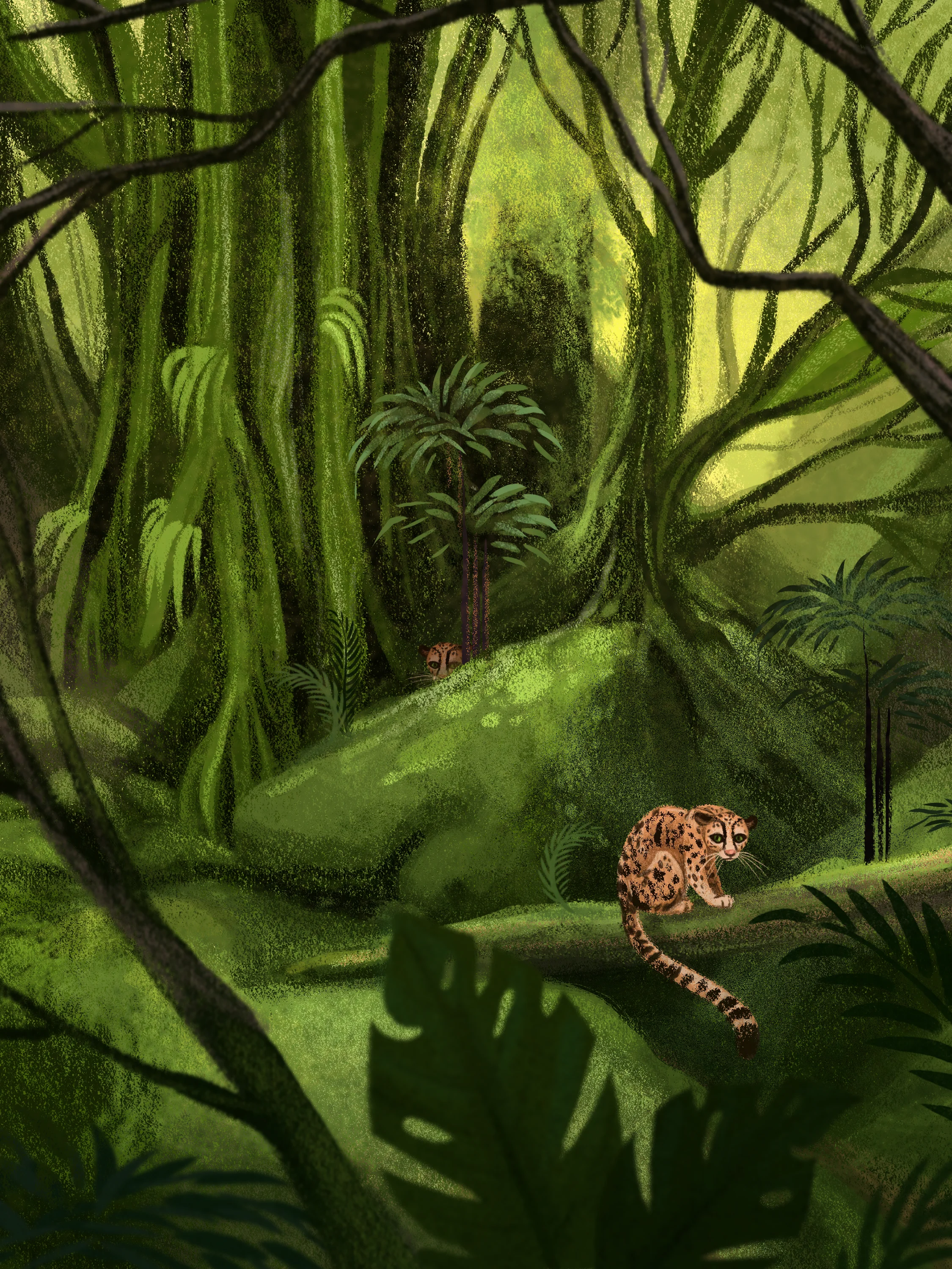 ocelot.jpg