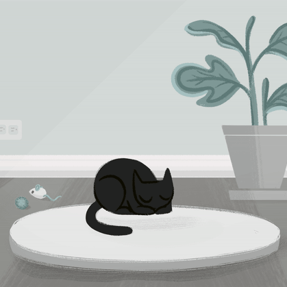 Panther-Cat.gif