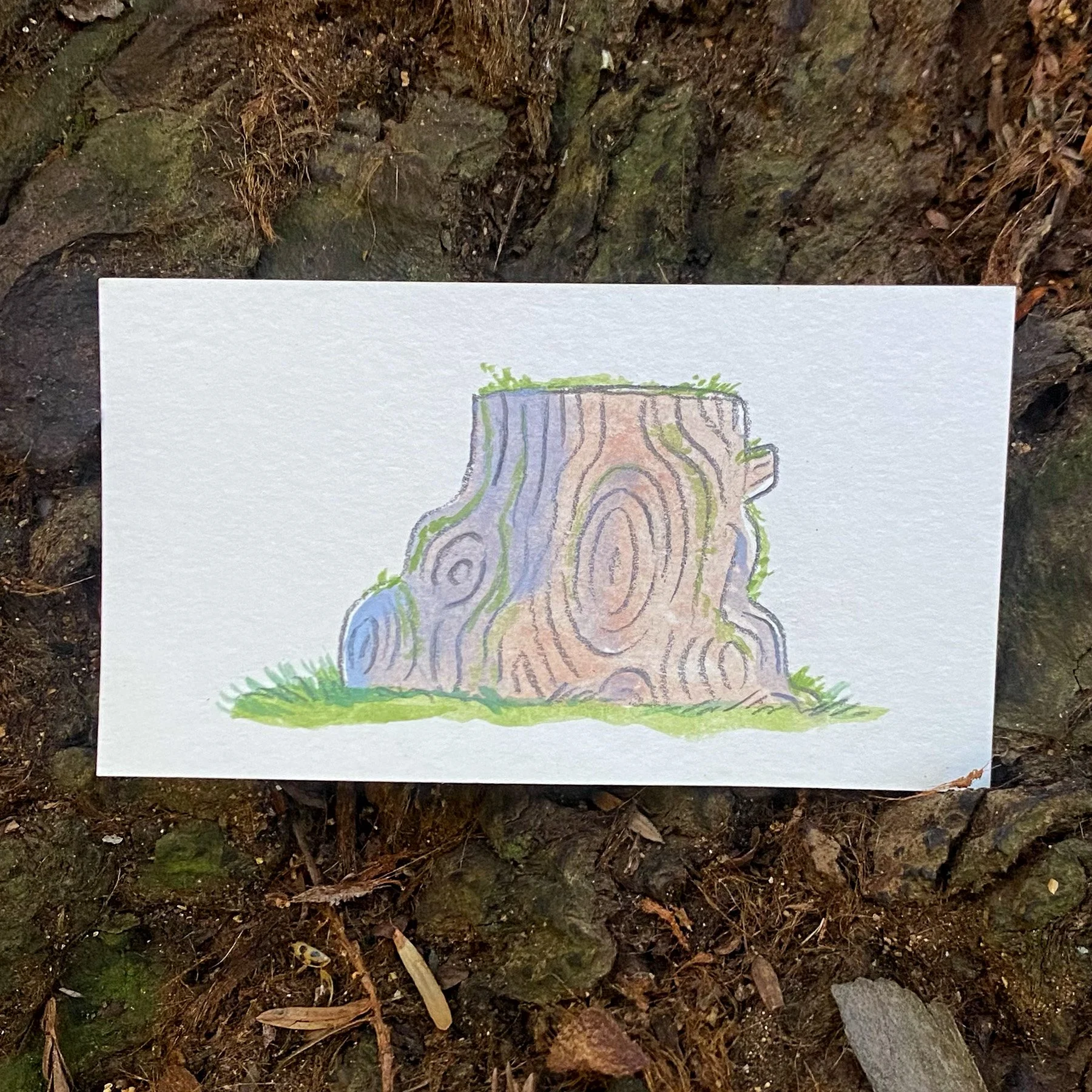 waters of march stump.jpg