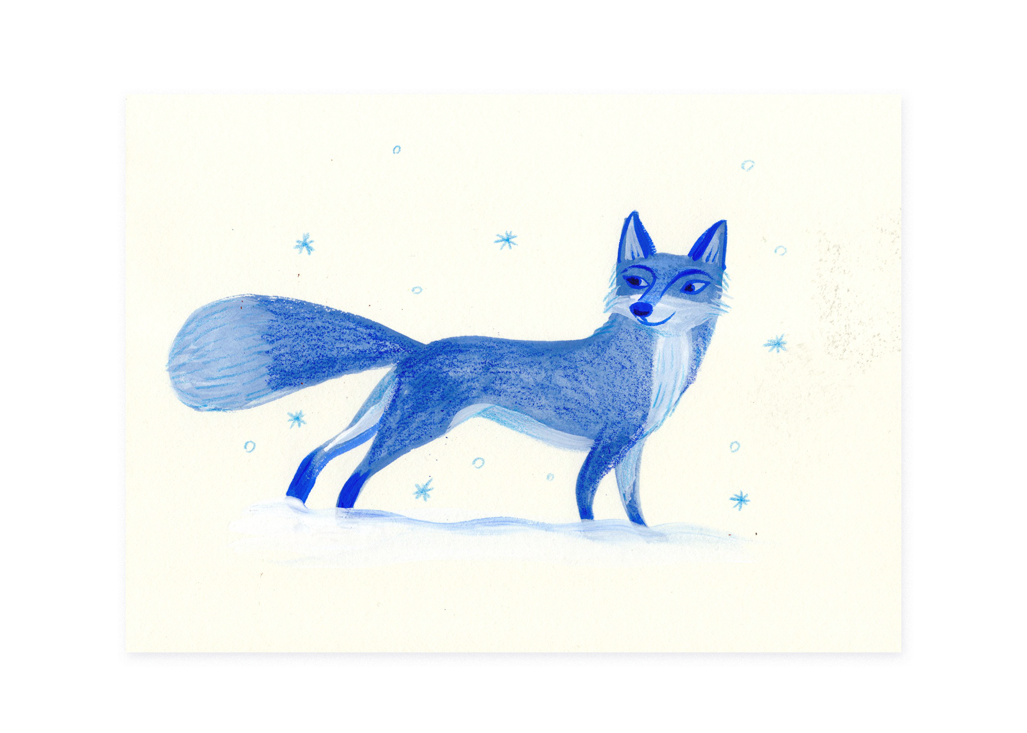 blue fox.png