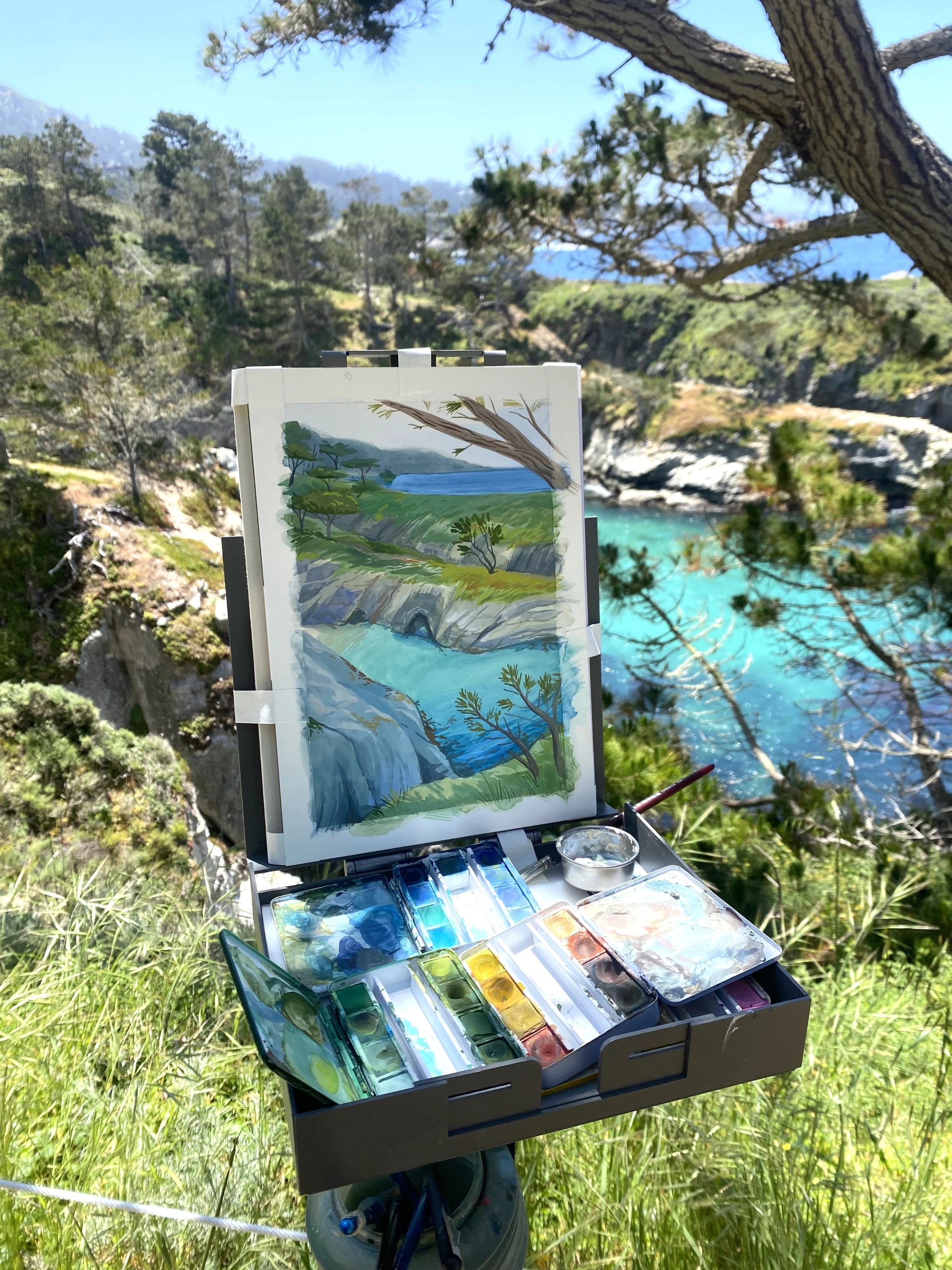 seal cove vertical.jpg
