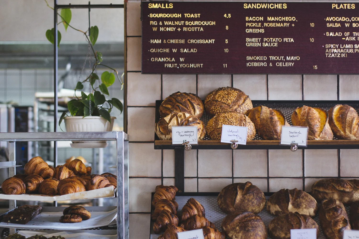 janelle-grace.com The Griswolds--2.jpg