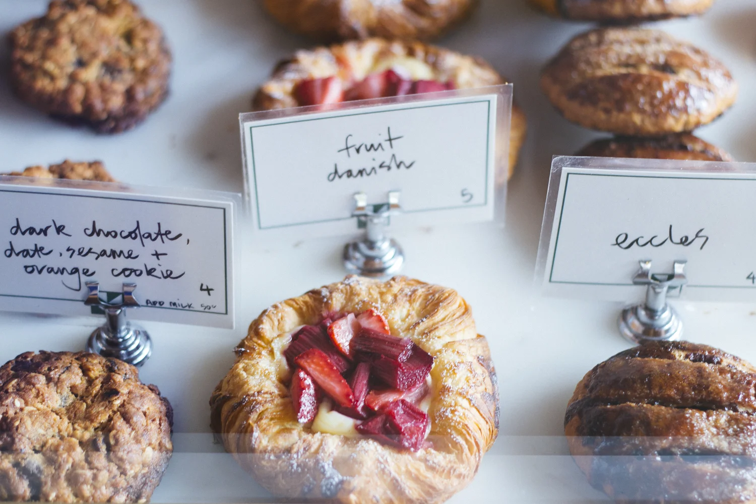 janelle-grace.com The Griswolds--5.jpg