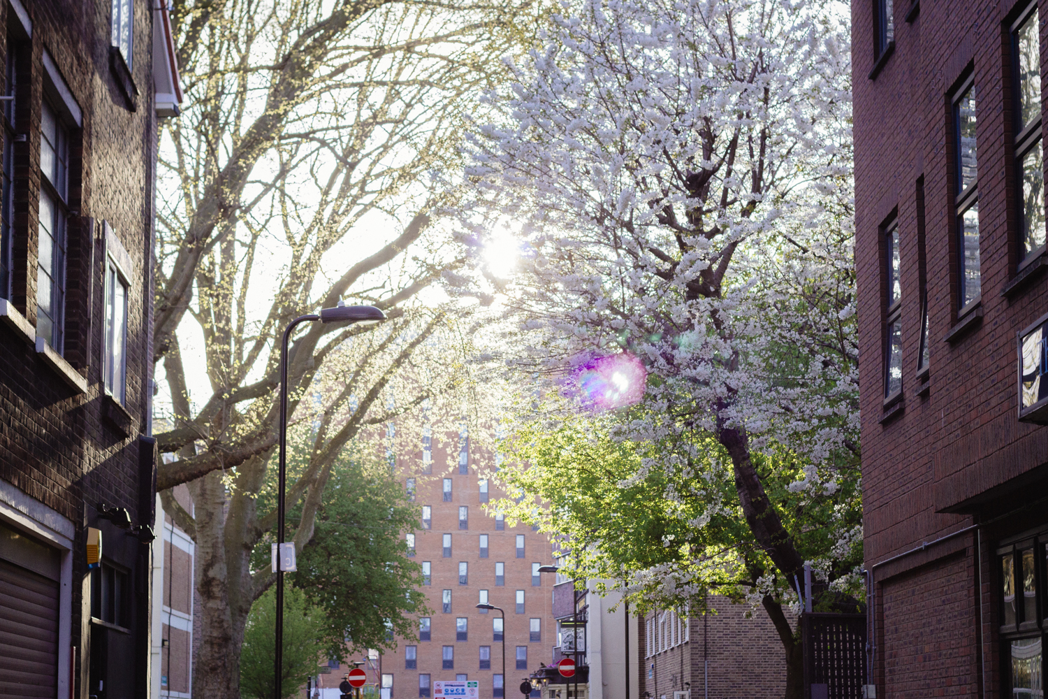 Hoxton, East London - janelle-grace.com--5.jpg