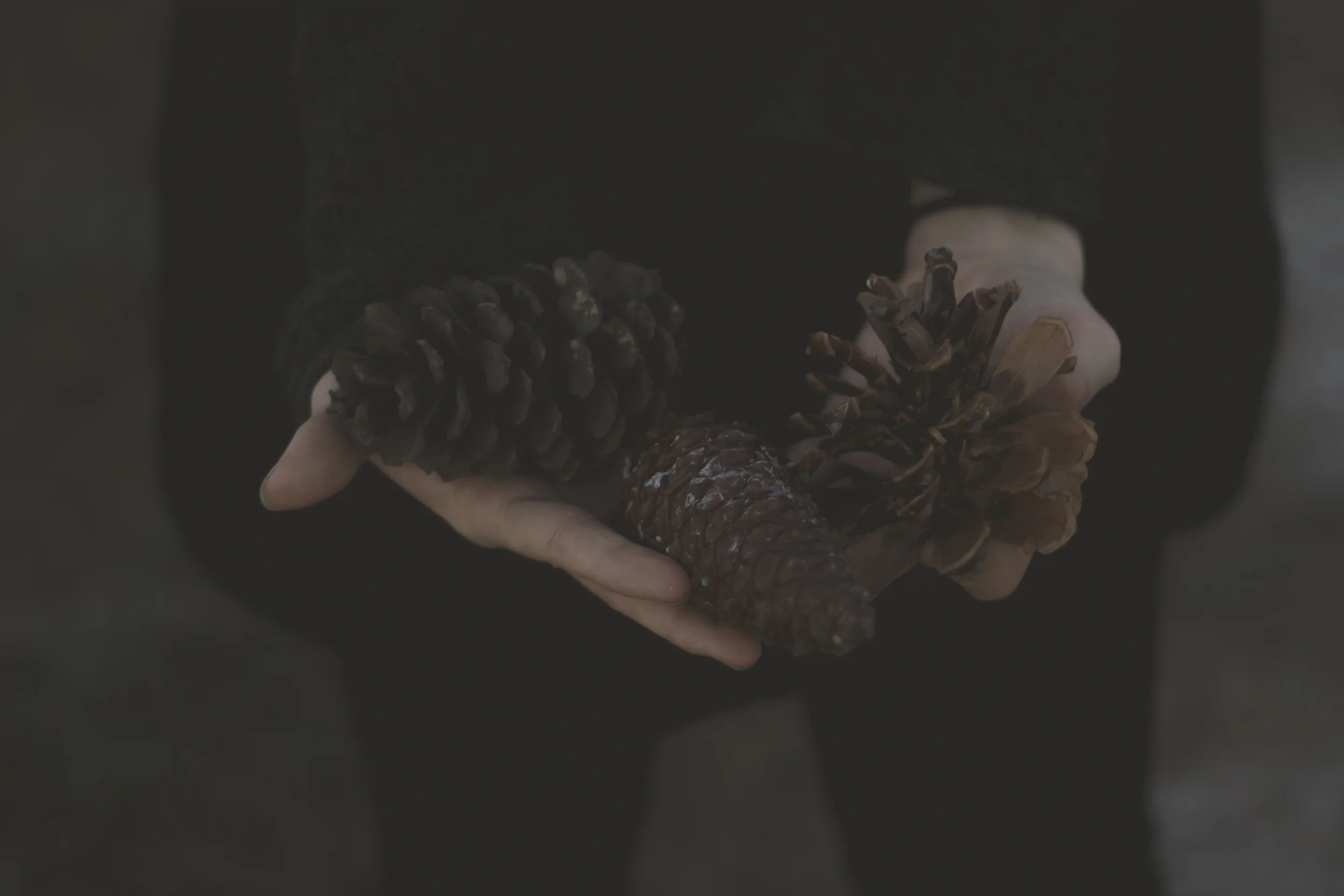 Maria Haaland-24.jpg