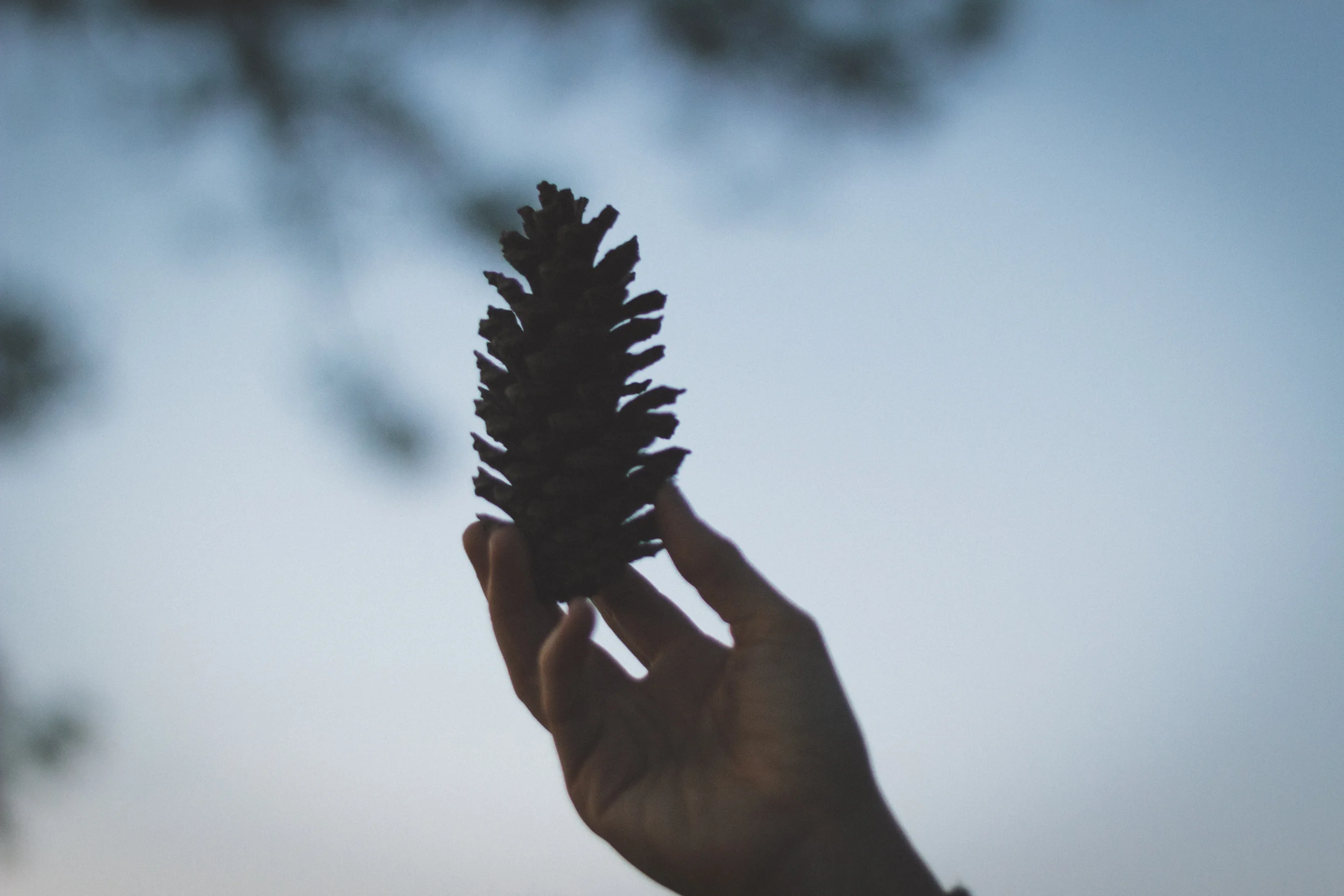 Maria Haaland-44.jpg