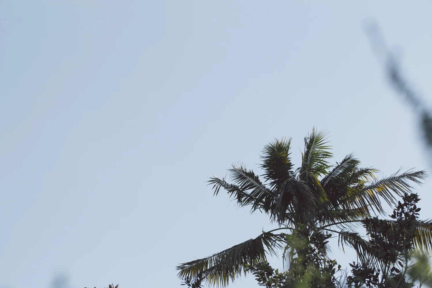 TYNT Vol 4 Surfstitch summer shoot - janelle-grace.com--19.jpg