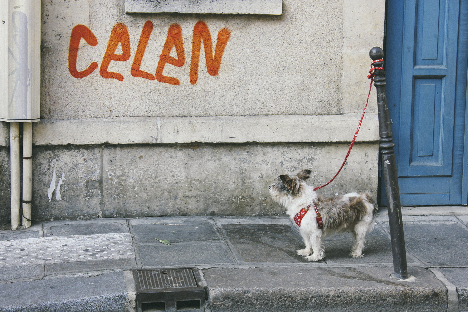 janelle-grace.com - Paris-1.jpg