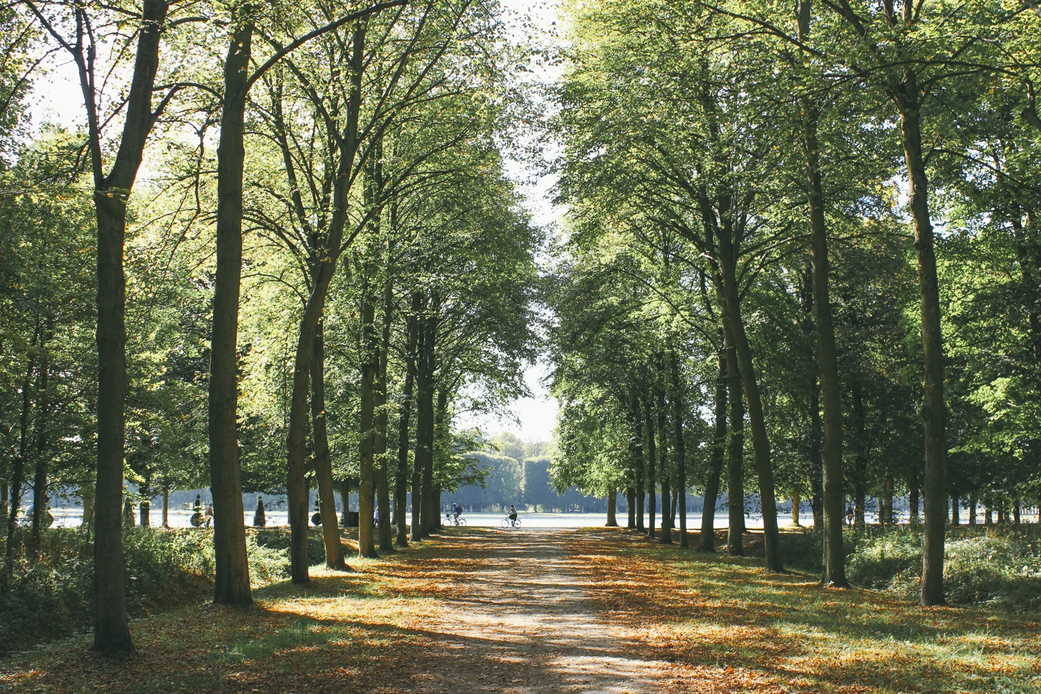 janelle-grace.com - Paris-17.jpg