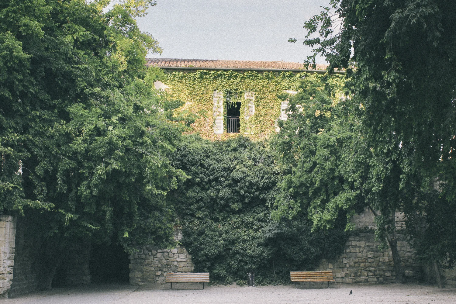 janelle-grace.com - Southern France-2.jpg