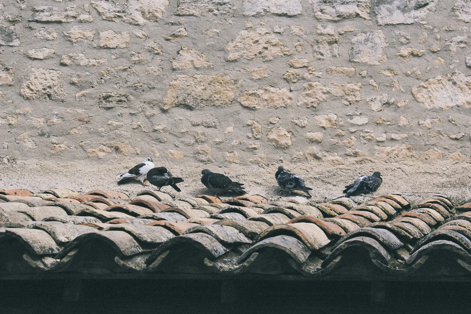 janelle-grace.com - Southern France-10.jpg