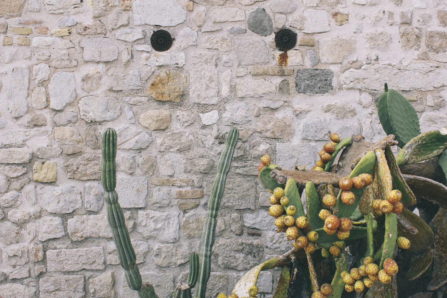 janelle-grace.com - Southern France-31.jpg