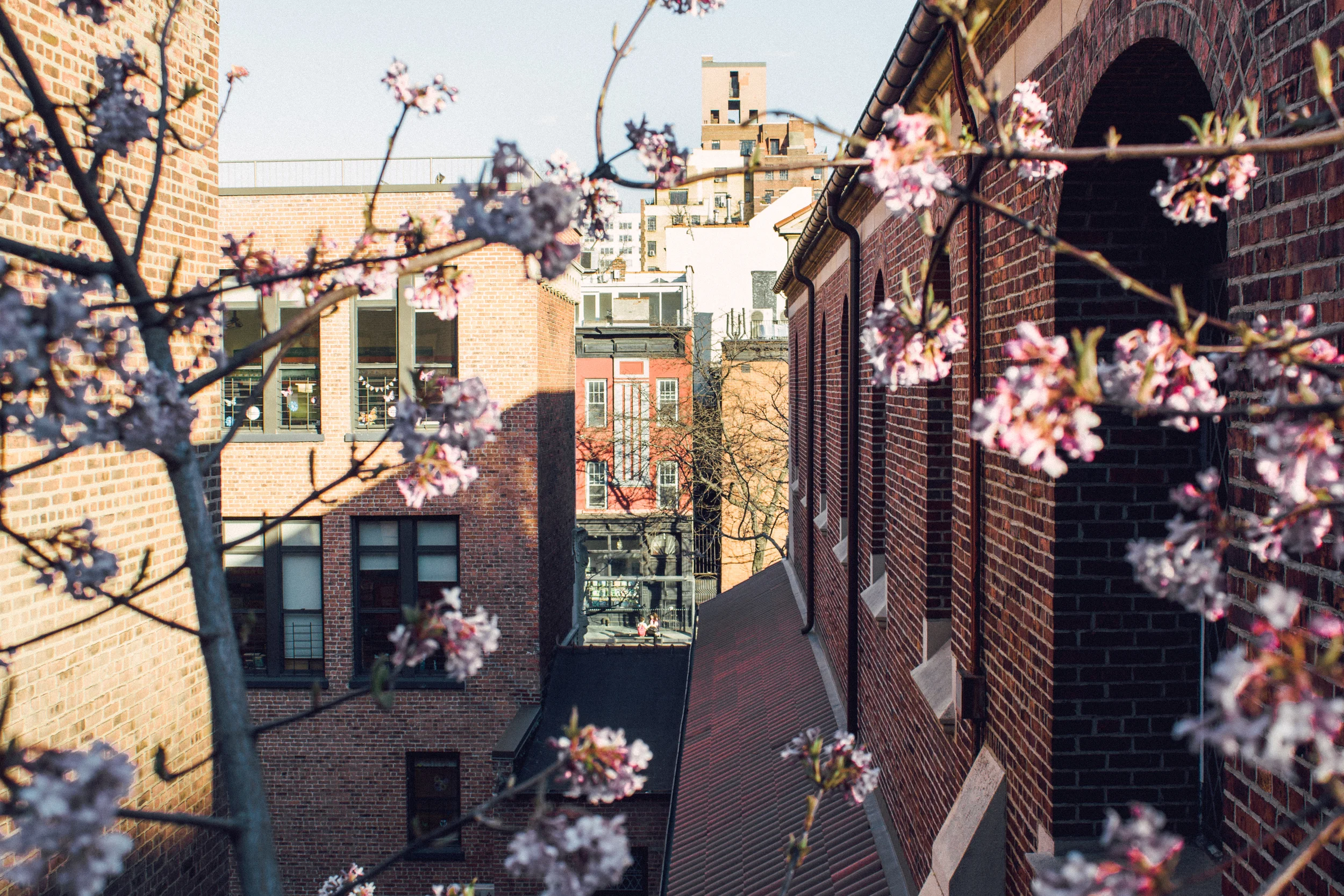 janelle-grace.com - NYC adventures-003.jpg