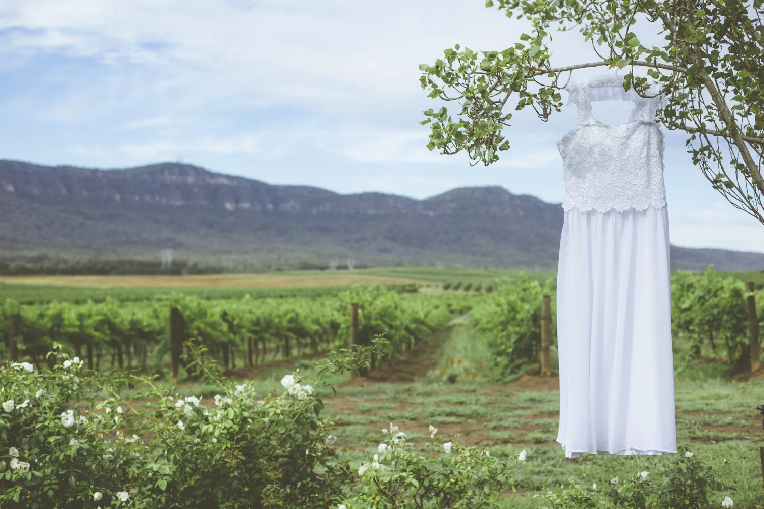 janelle-grace.com - Wedding with White Lane Studio - Scott & Claire-22.jpg