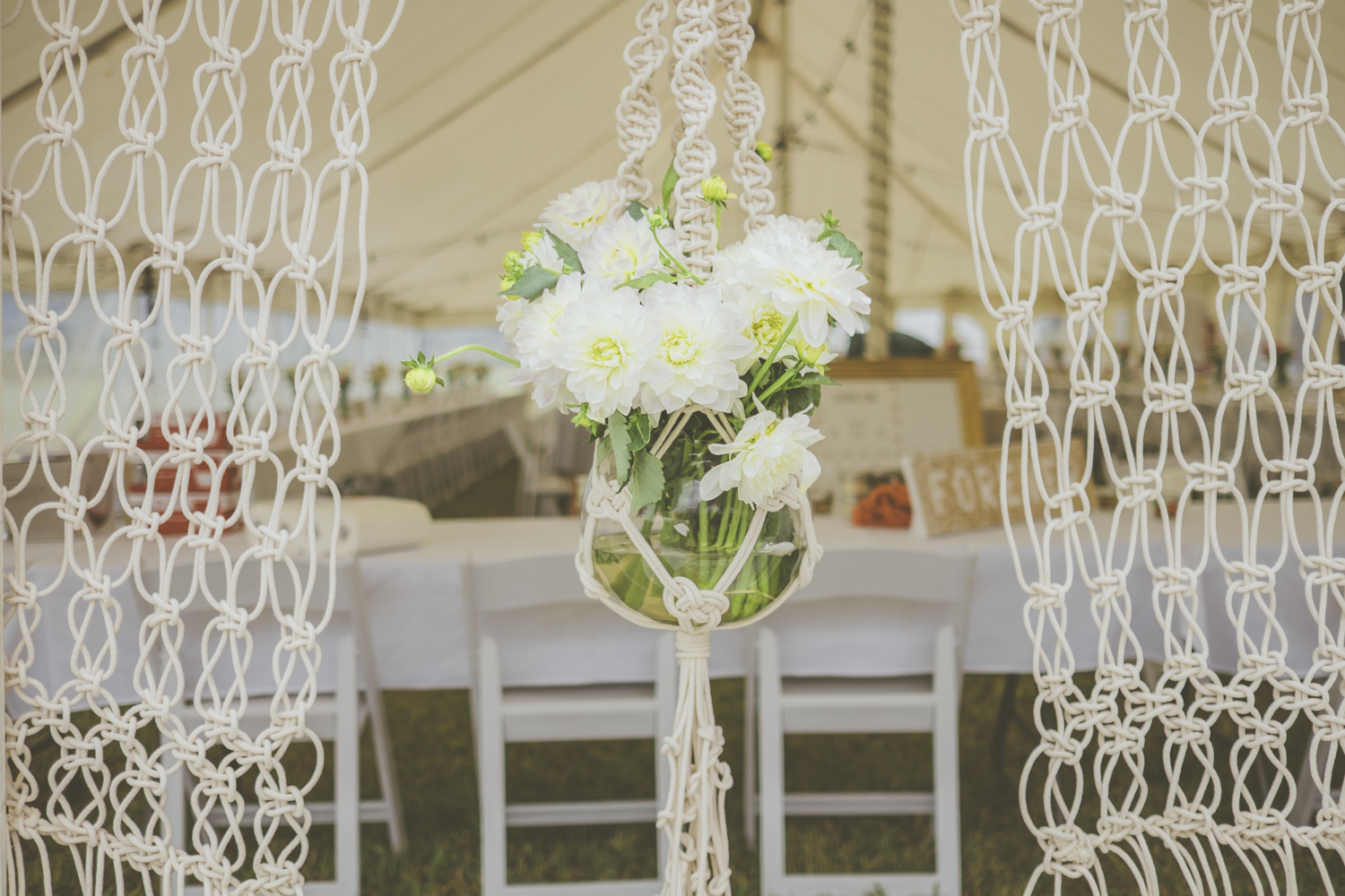 janelle-grace.com - Wedding with White Lane Studio - Scott & Claire-27.jpg