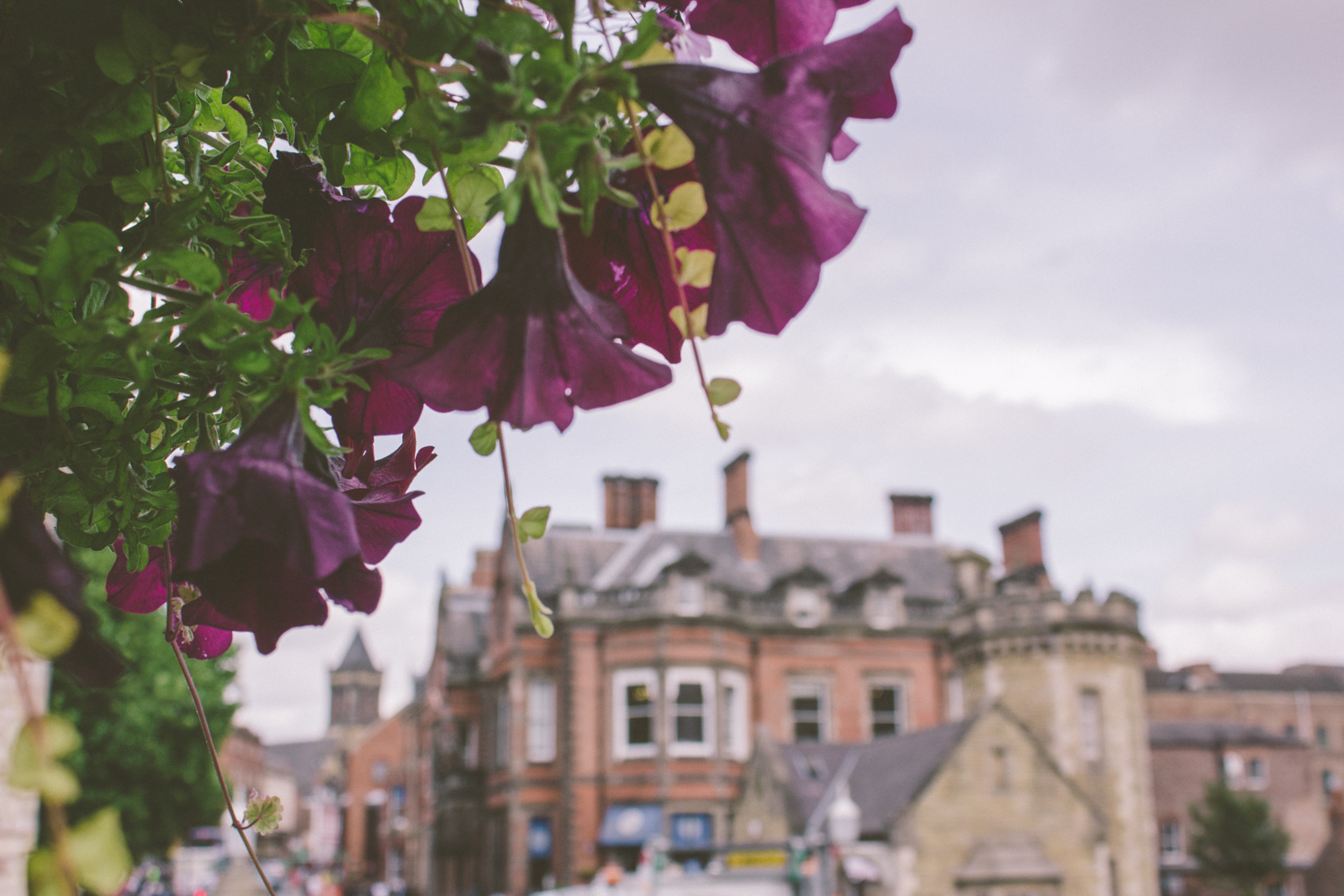 janelle-grace.com - Scotland adventures-005.jpg