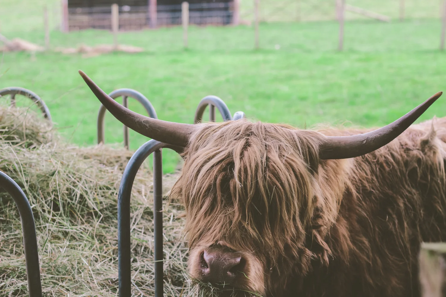 janelle-grace.com - Scotland adventures-024.jpg