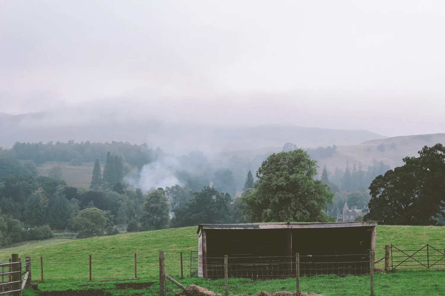 janelle-grace.com - Scotland adventures-025.jpg