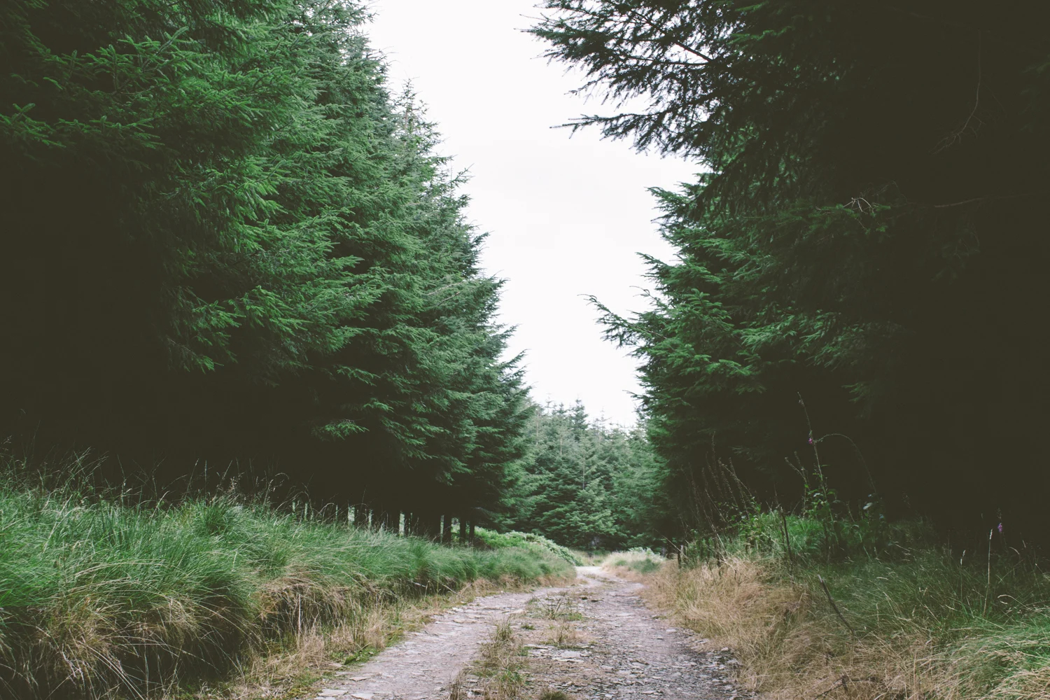 janelle-grace.com - Scotland adventures-029.jpg