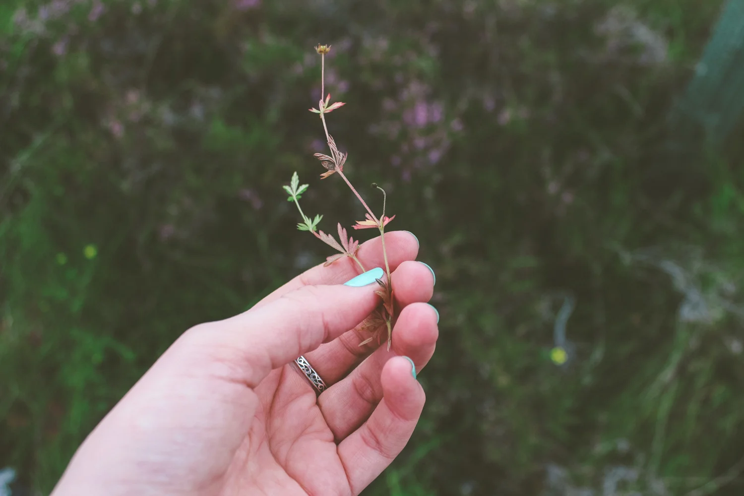 janelle-grace.com - Scotland adventures-031.jpg