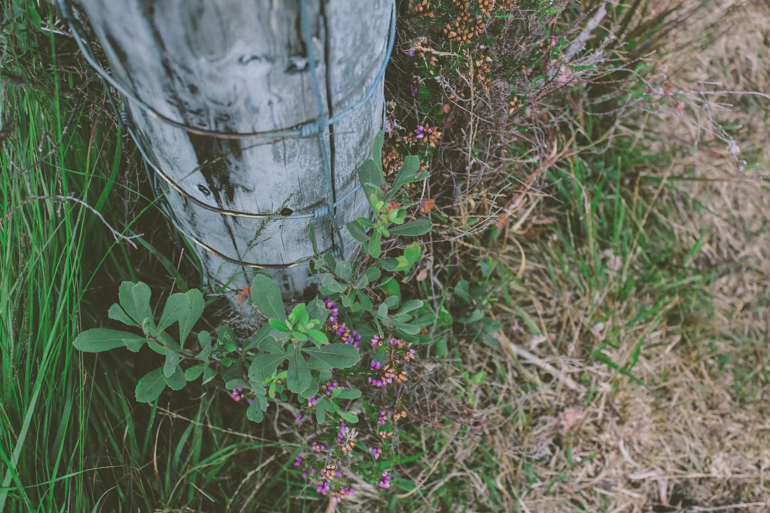 janelle-grace.com - Scotland adventures-035.jpg