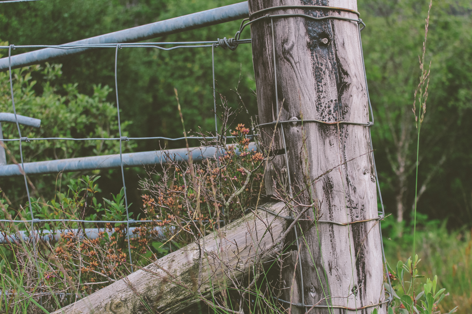 janelle-grace.com - Scotland adventures-036.jpg