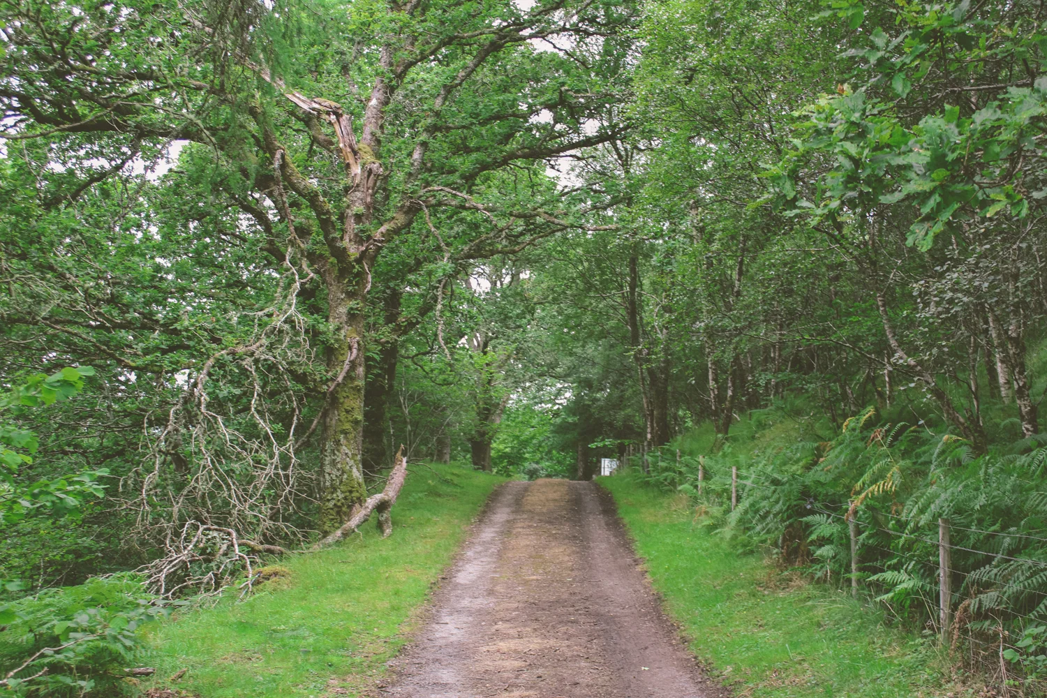 janelle-grace.com - Scotland adventures-037.jpg