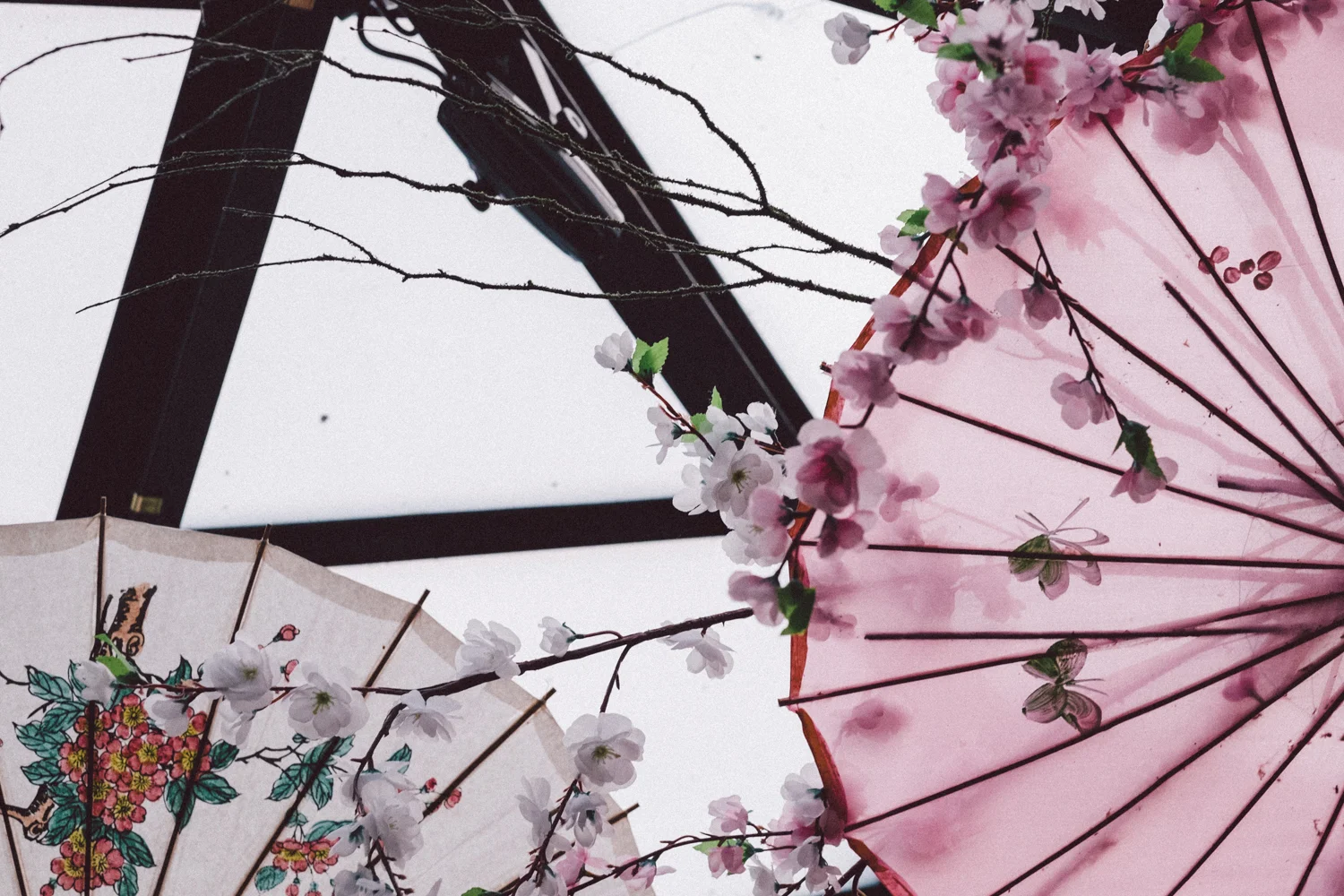 janelle-grace.com - Moe & Simouna-027.jpg