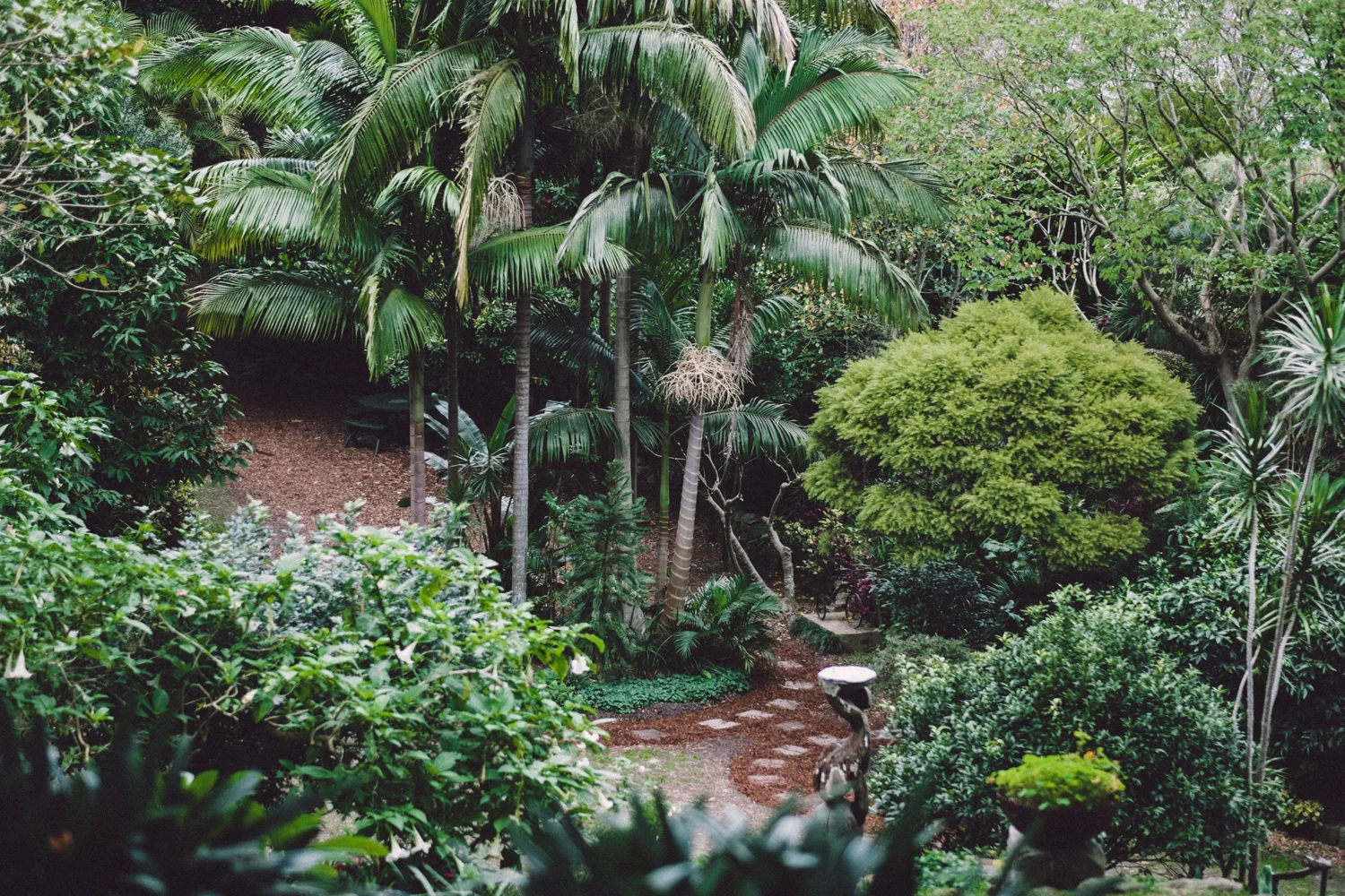 Secret garden-006-2.jpg