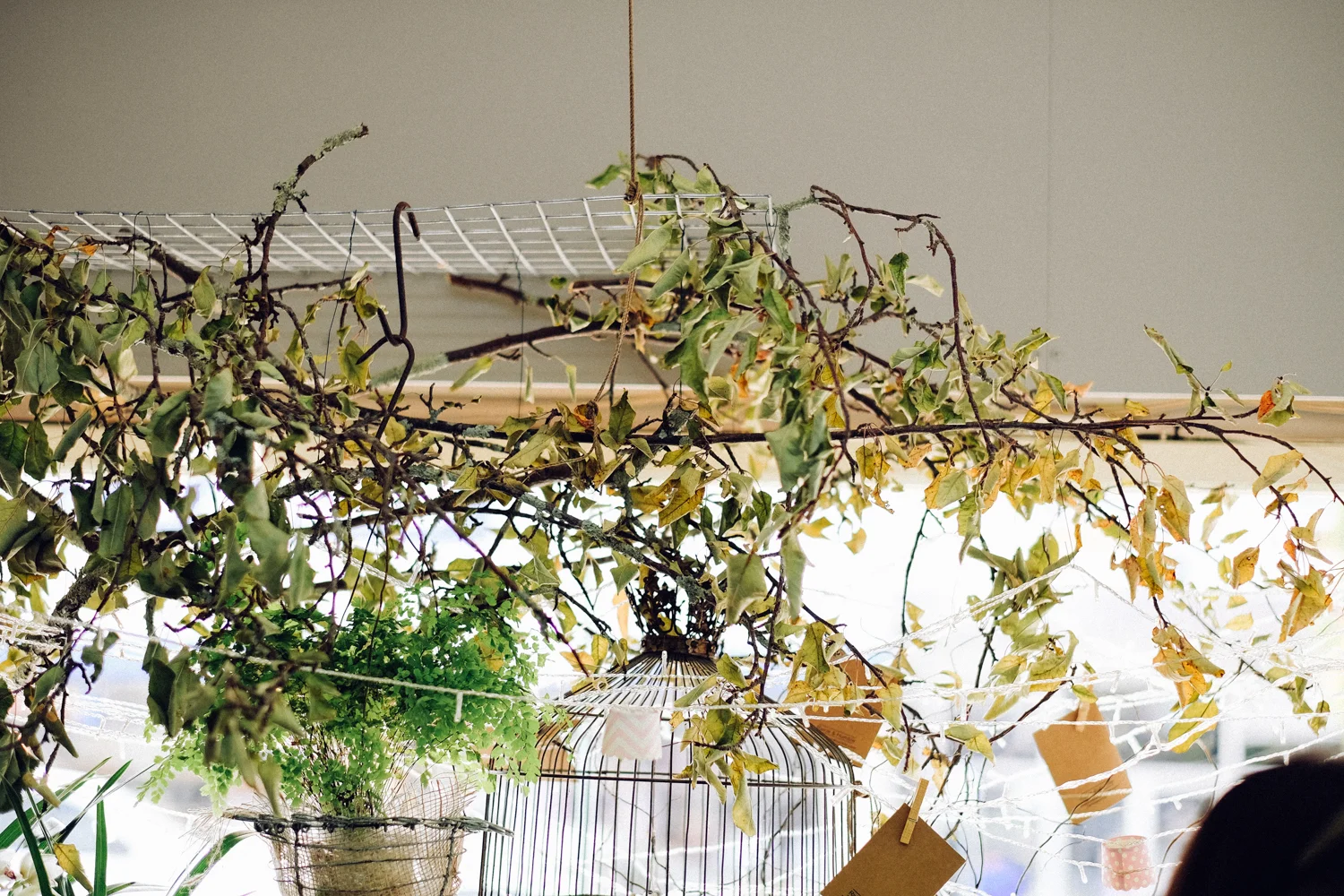 janelle-grace.com - Gunnedah, NSW--8.jpg