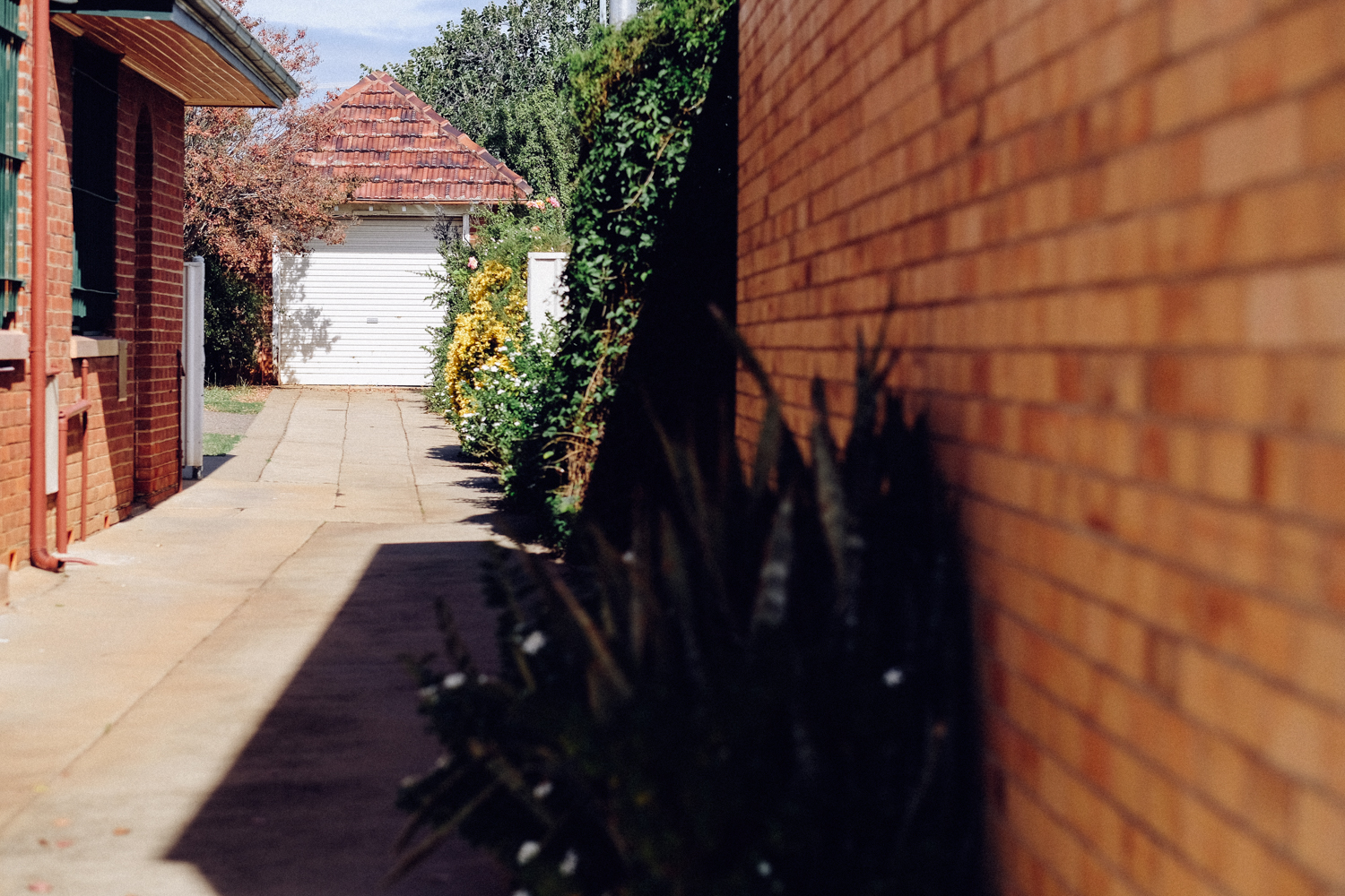 janelle-grace.com - Gunnedah, NSW--9.jpg