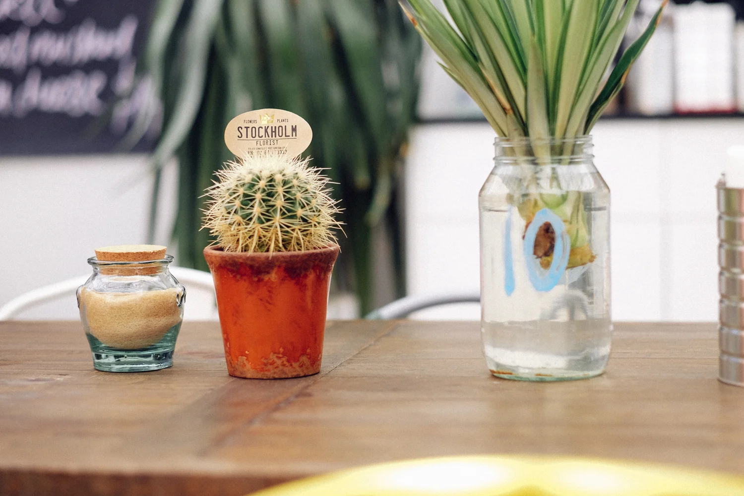 janelle-grace.com - Gunnedah, NSW--11.jpg