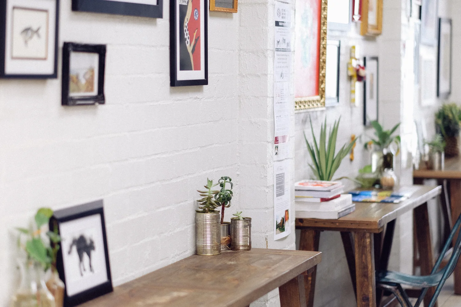 janelle-grace.com - Gunnedah, NSW--13.jpg