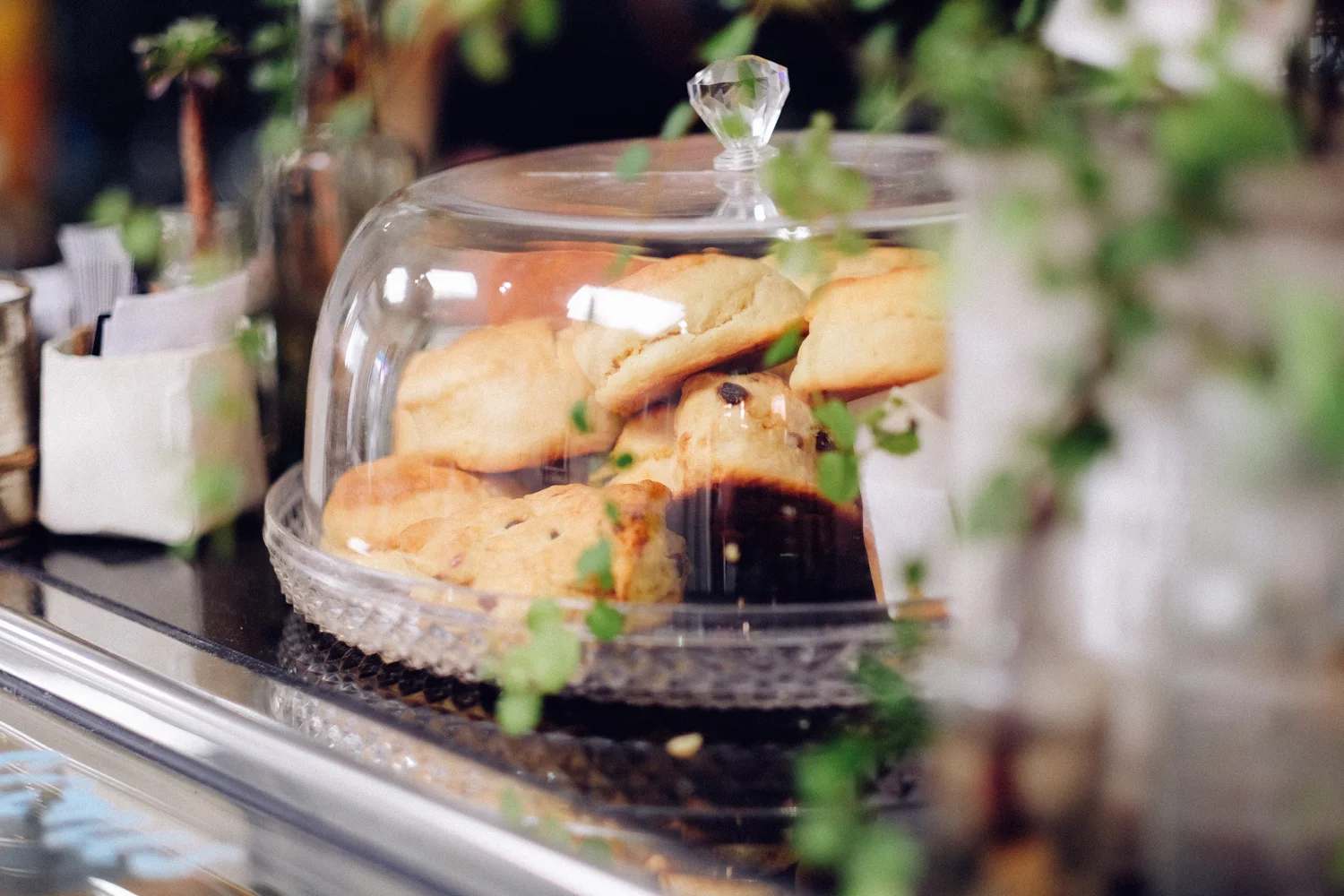 janelle-grace.com - Gunnedah, NSW--19.jpg