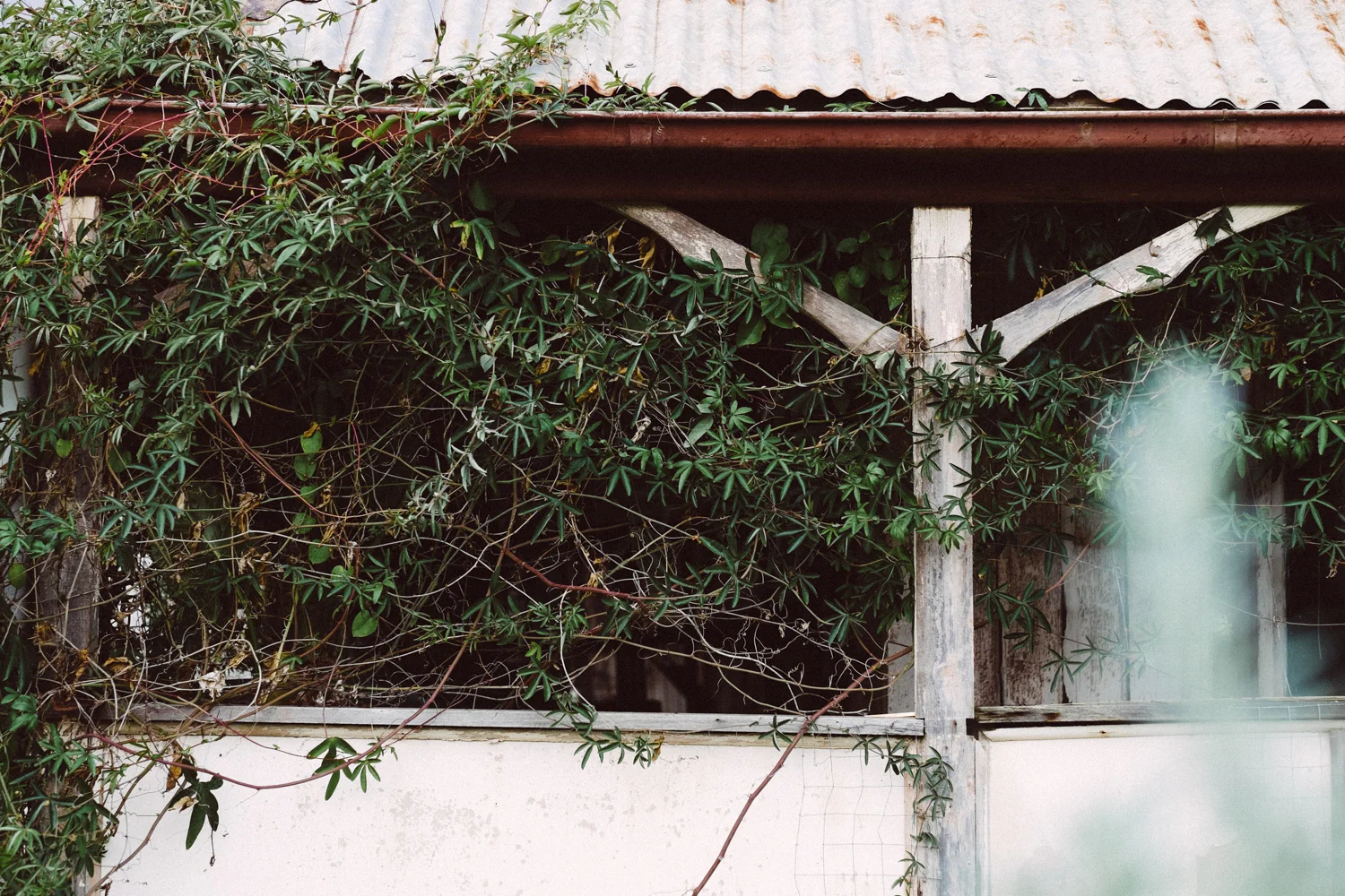 janelle-grace.com - derelict buildings--3.jpg