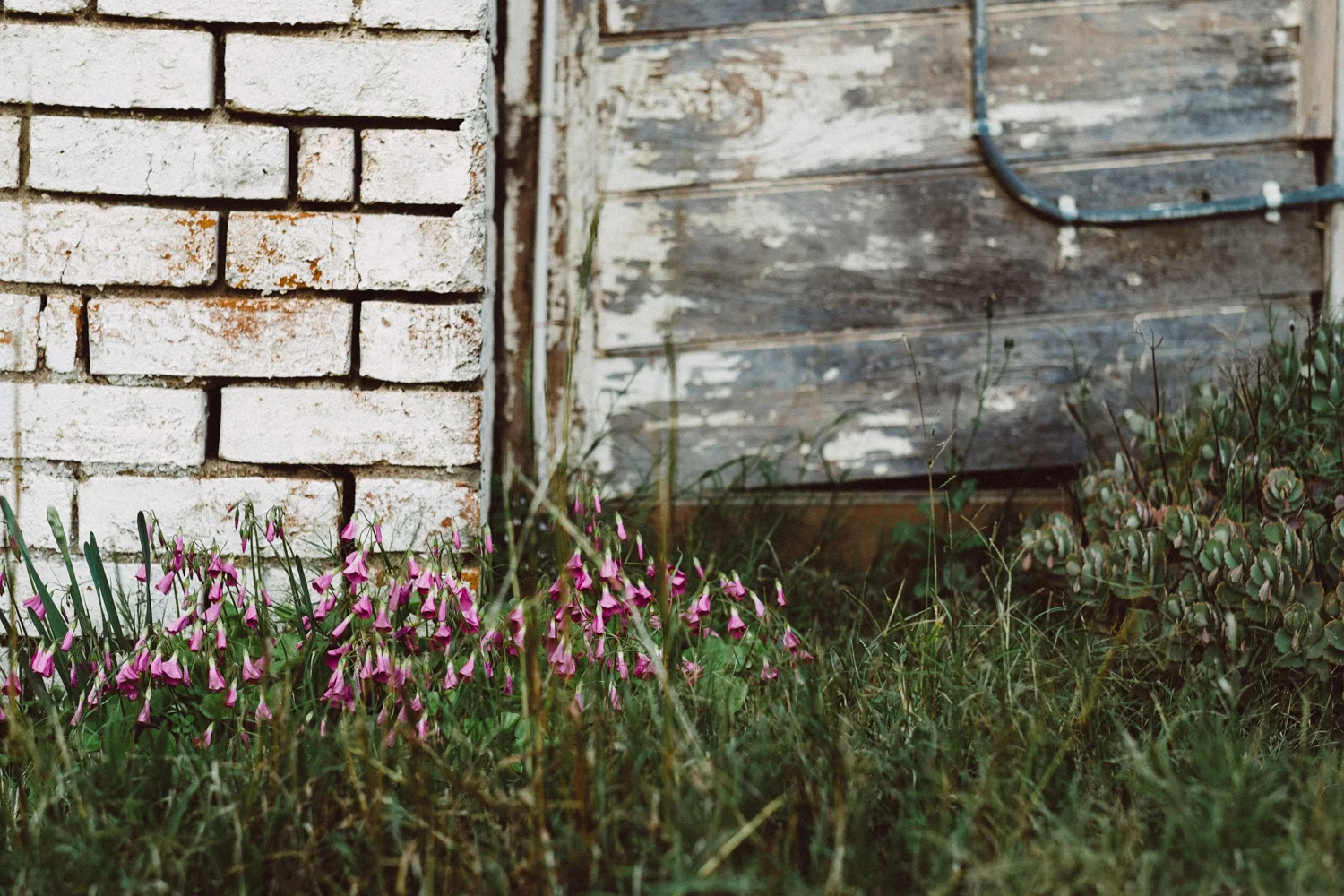 janelle-grace.com - derelict buildings--4.jpg