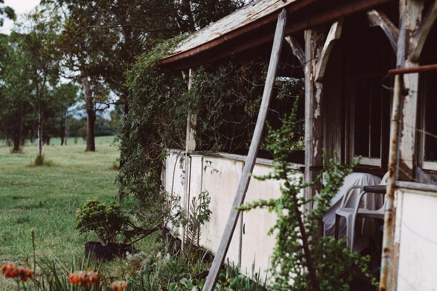 janelle-grace.com - derelict buildings--6.jpg