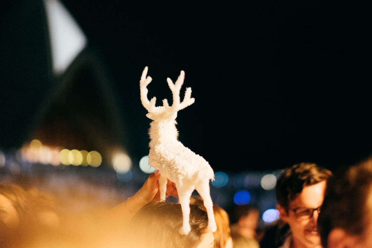 janelle-grace.com - Diner en blanc, Sydney 2015-6522.jpg