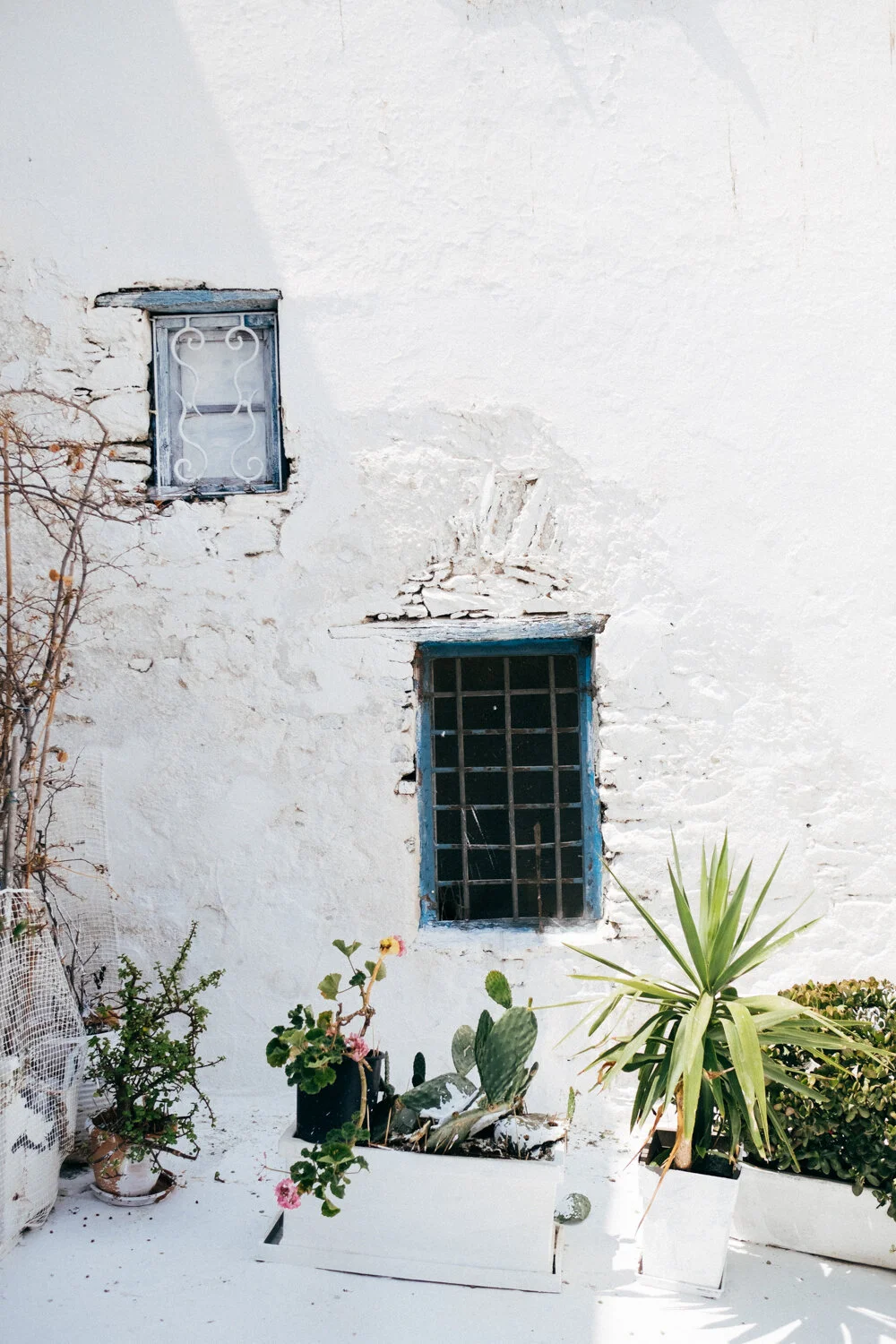 Greece 2019 Janelle Grace-7542.jpg