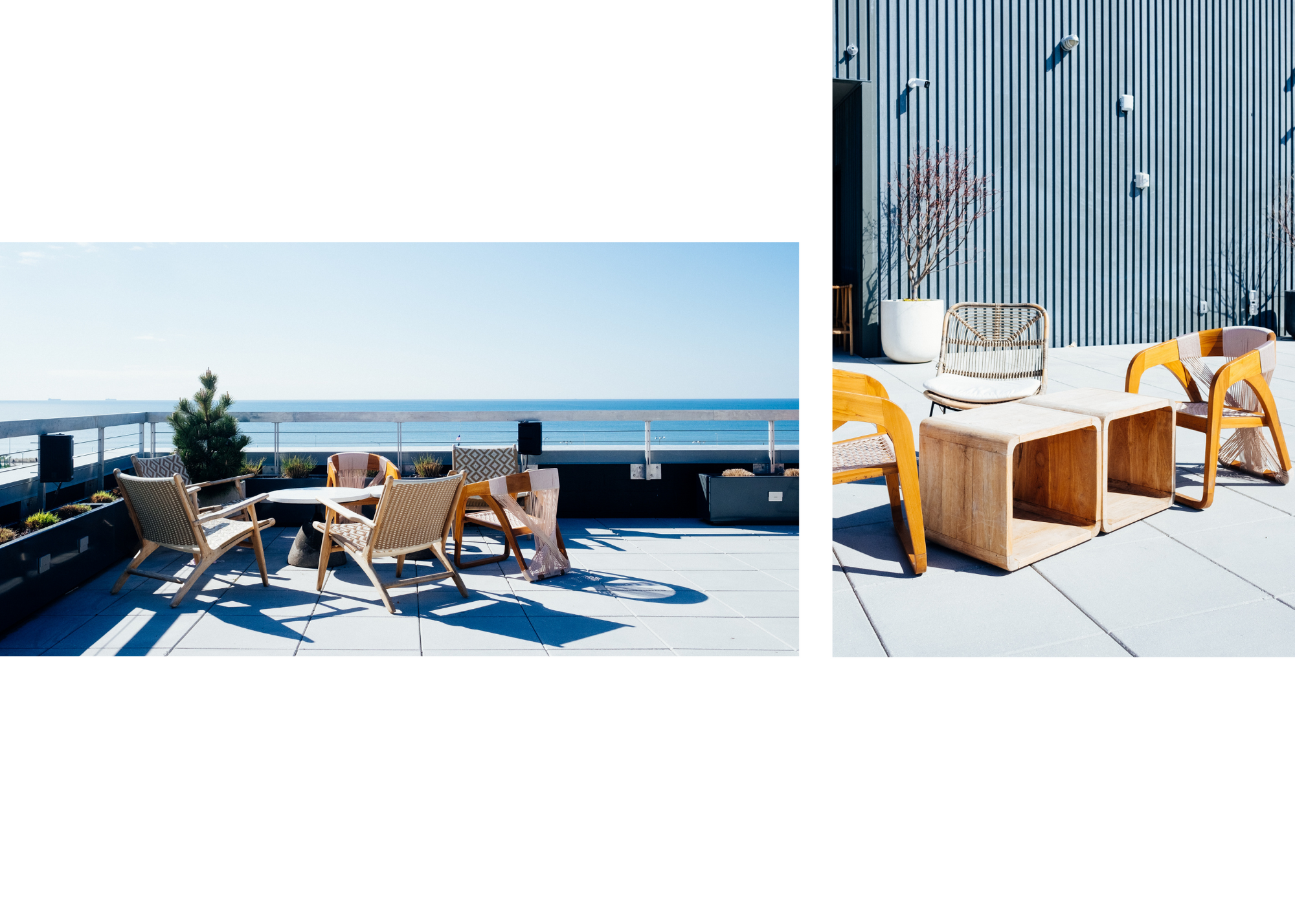 Janelle Grace photography (10).png