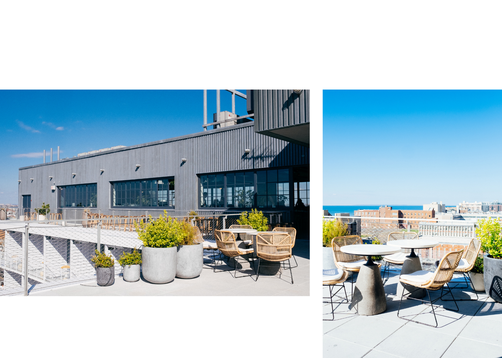 Janelle Grace photography (11).png